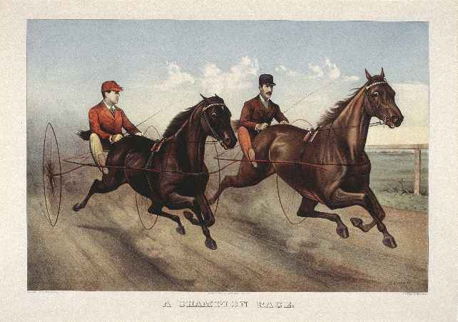 C0971.jpg (642x451; 31 KBytes)