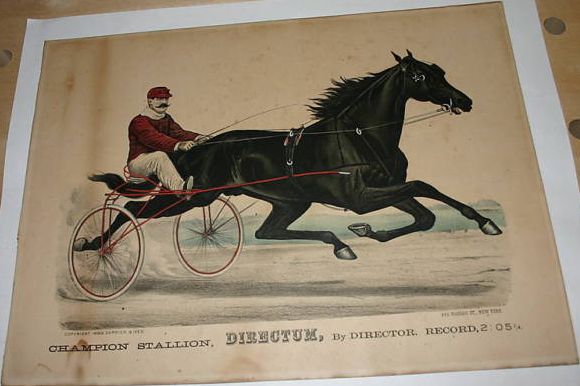 C0975.jpg (580x386; 35 KBytes)