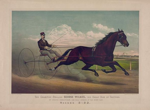 C0976.jpg (599x441; 36 KBytes)