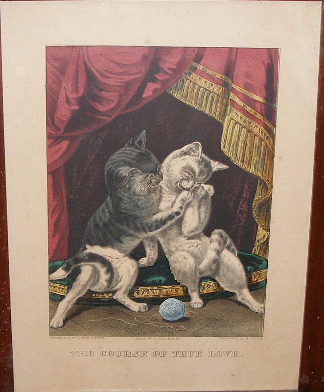 C1273.jpg (662x800; 117 KBytes)