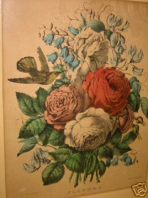 c2057.jpg (300x400; 25 KBytes)
