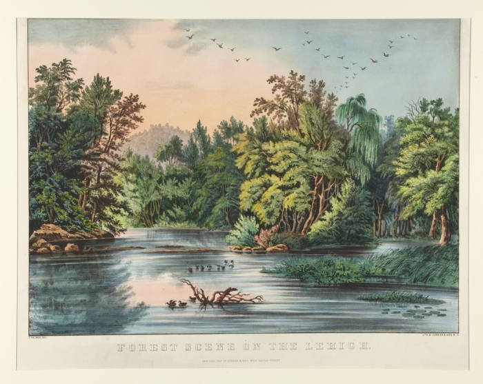 c2084.jpg (700x557; 330 KBytes)