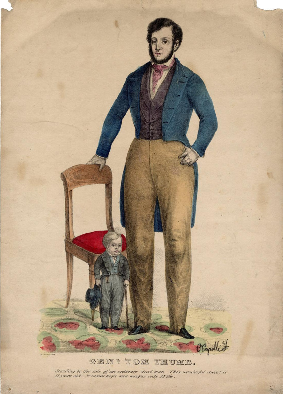c2306.jpg (345x439; 54 KBytes)