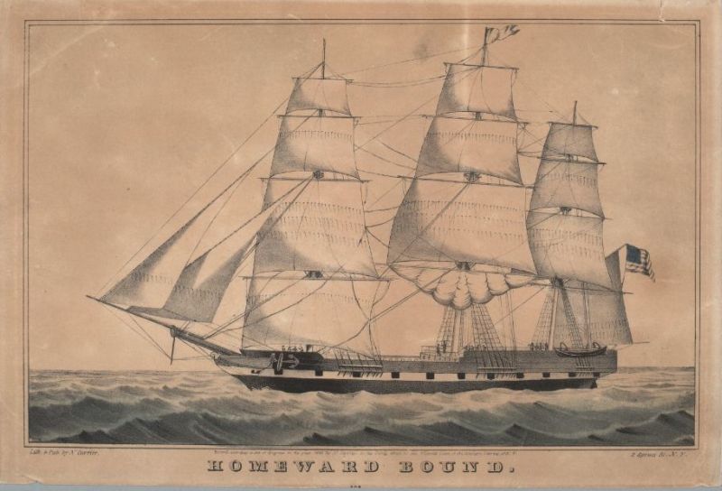 c2885.jpg (800x544; 61 KBytes)