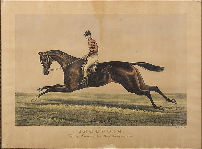 c3131.jpg (692x509; 89 KBytes)