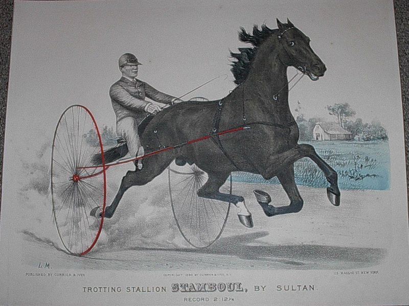 c6223.jpg (800x599; 104 KBytes)