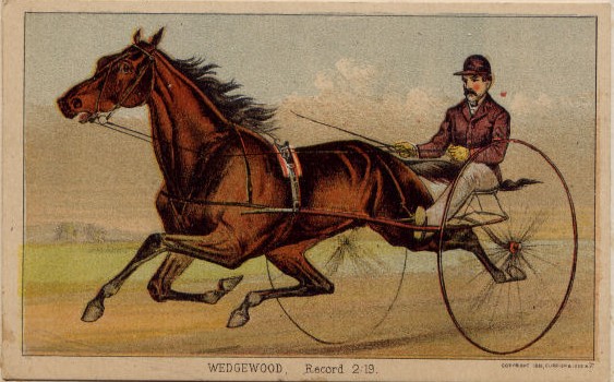 C6603.jpg (563x350; 67 KBytes)
