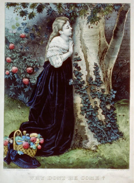 c6652.jpg (470x640; 63 KBytes)