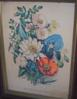 C6674.jpg (298x381; 73 KBytes)