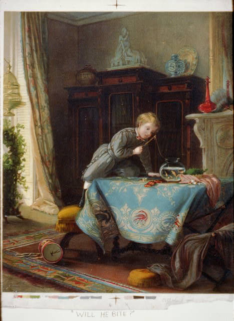 c6681.jpg (467x640; 47 KBytes)