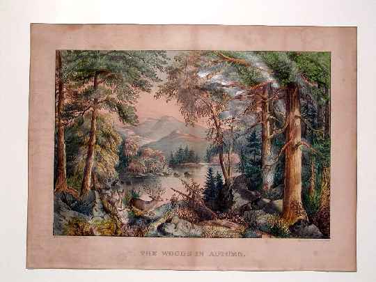 C6780.jpg (540x405; 28 KBytes)