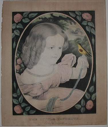 Clfav.jpg (377x441; 23 KBytes)