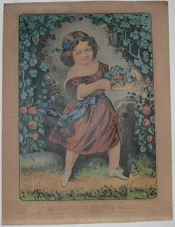 Clfruit.jpg (343x446; 23 KBytes)