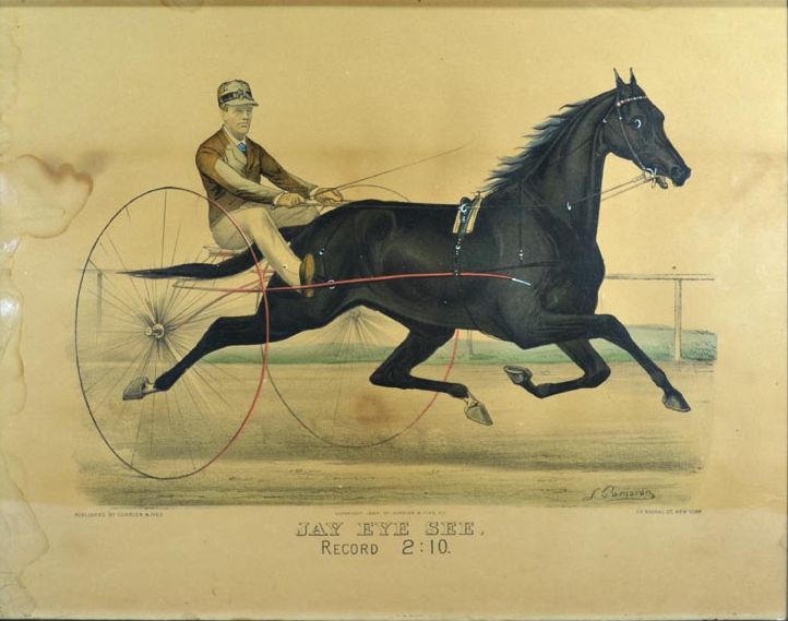 g3439.jpg (722x569; 64 KBytes)