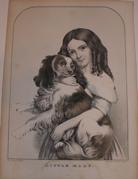 G3967.jpg (464x600; 43 KBytes)