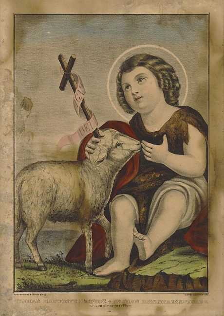 g6245.jpg (460x650; 259 KBytes)