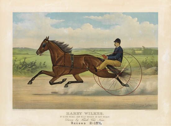 harry-wilkes.jpg (550x405; 46 KBytes)