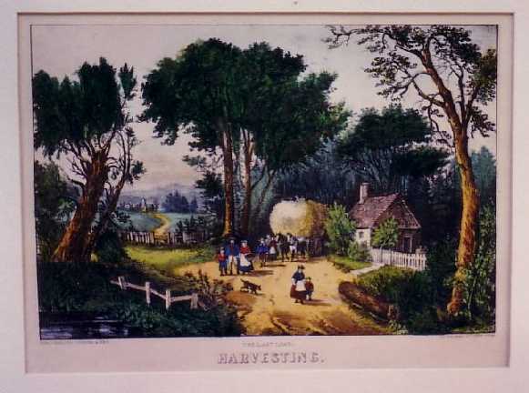 harvesting.jpg (581x432; 33 KBytes)