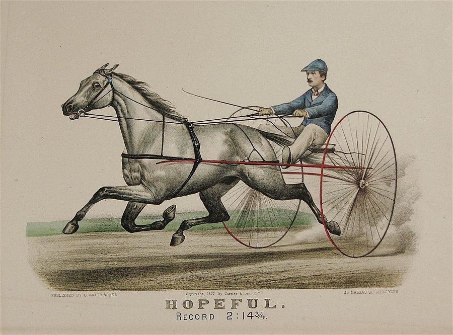 hopeful3.jpg (900x666; 131 KBytes)