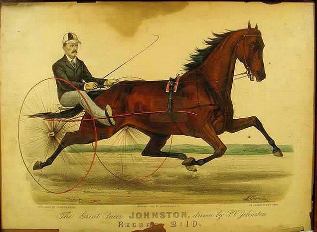 johnston.jpg (636x465; 87 KBytes)