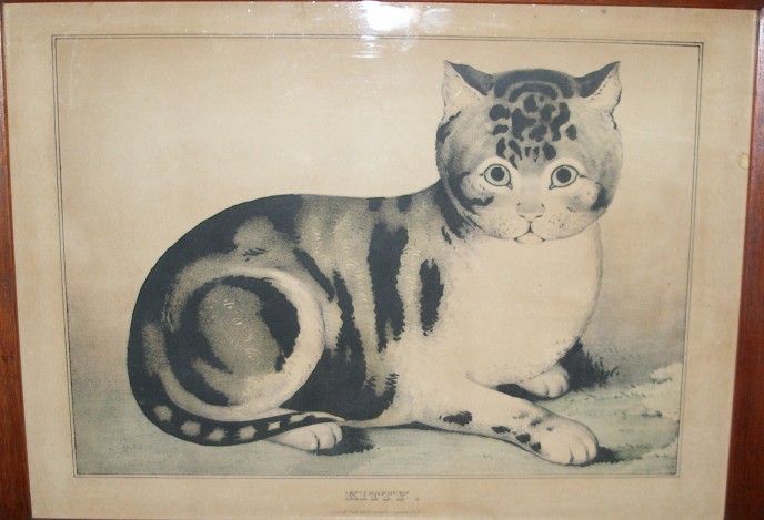 kitty.jpg (688x469; 81 KBytes)