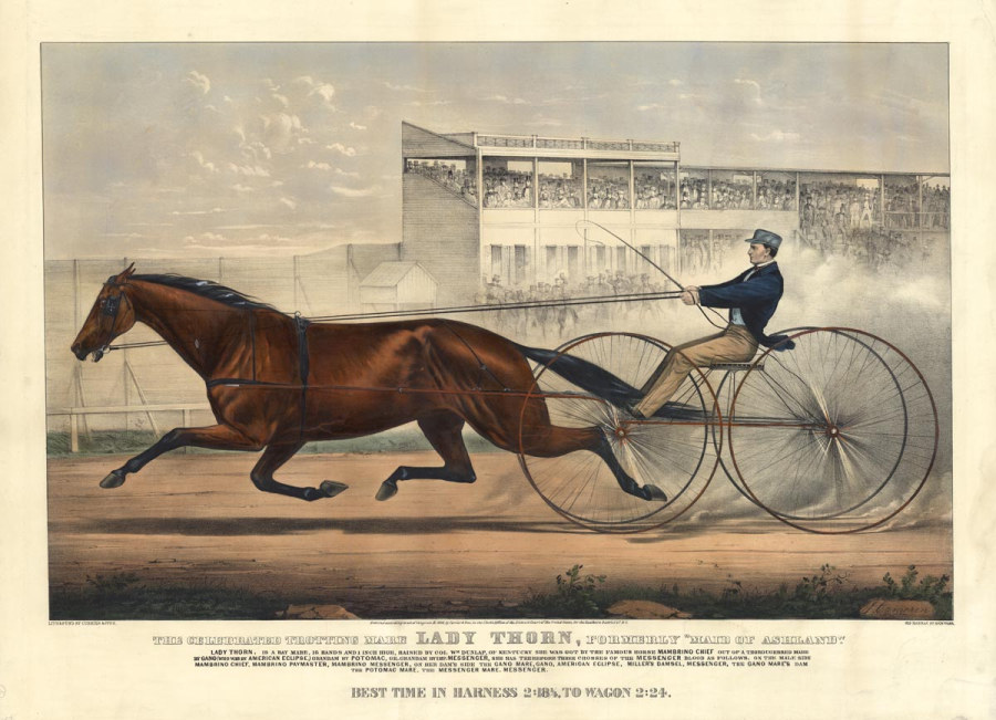 lady-thorn-large-1866.jpg (900x651; 148 KBytes)