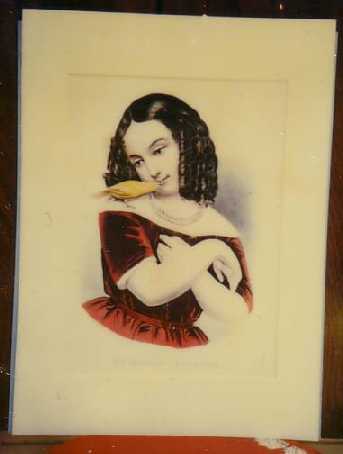 litfav.jpg (343x454; 10 KBytes)