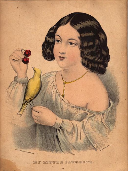little-favorite5.jpg (523x700; 75 KBytes)