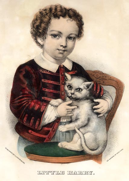 little-harry2.jpg (427x600; 55 KBytes)