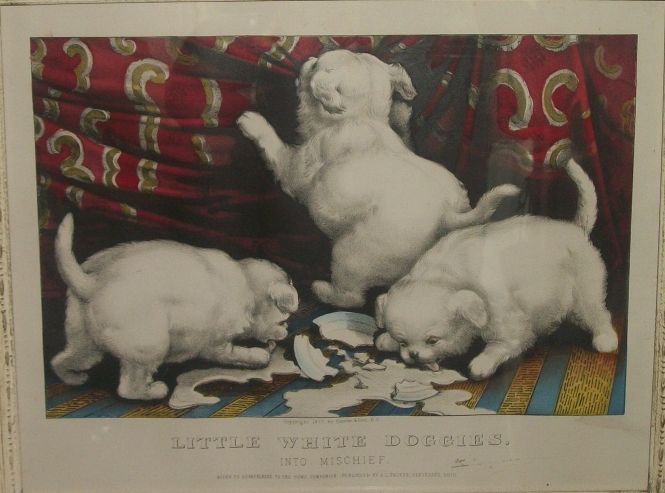 little-white-doggies.jpg (665x493; 47 KBytes)