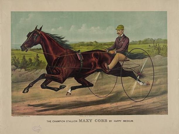 maxy-cobb.jpg (611x457; 47 KBytes)