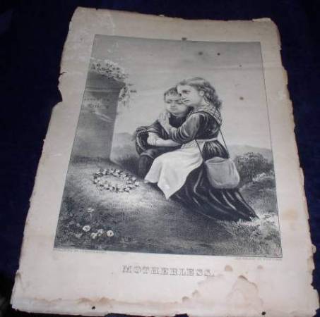 motherless.jpg (453x450; 21 KBytes)