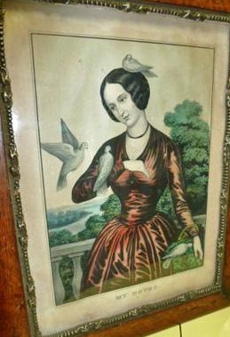 my-doves-ncurrier.jpg (259x379; 22 KBytes)