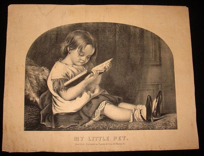 my-little-pet.jpg (650x499; 108 KBytes)