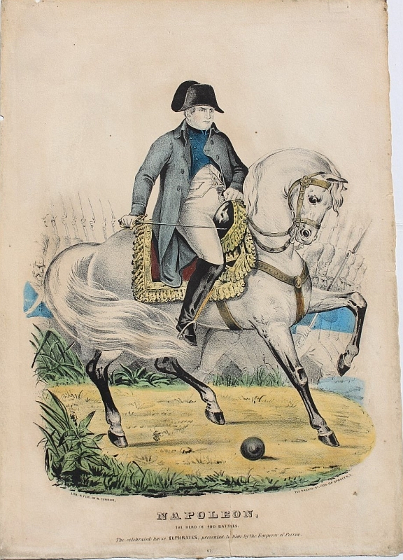 napoleon2.jpg (576x800; 389 KBytes)