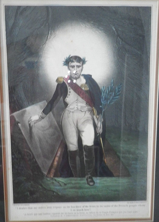 napoleon3.jpg (524x730; 62 KBytes)