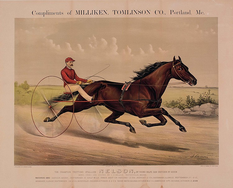 nelson-none.jpg (750x606; 134 KBytes)
