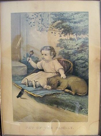 pet-family.jpg (351x473; 36 KBytes)