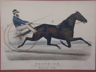 proteine.jpg (400x300; 10 KBytes)