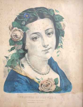 queenflowers.jpg (353x454; 13 KBytes)