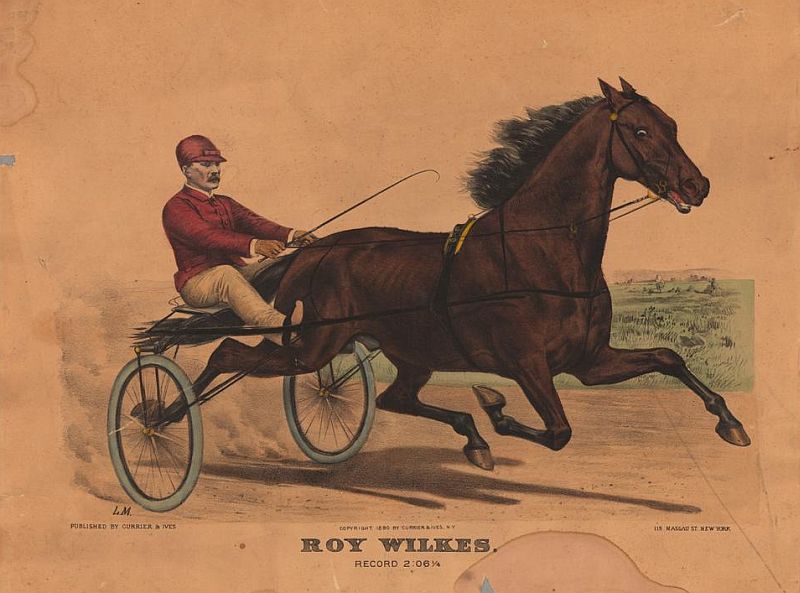 roy-wilkes.jpg (800x593; 76 KBytes)