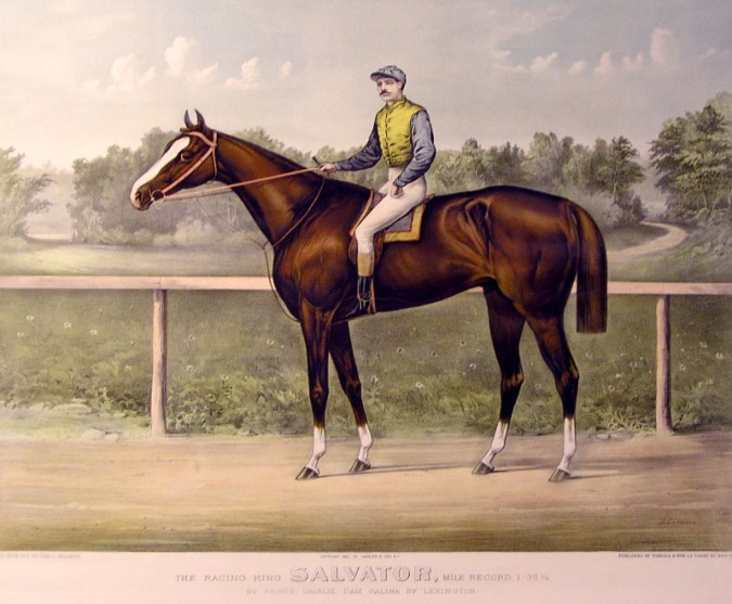salvator.jpg (675x557; 85 KBytes)