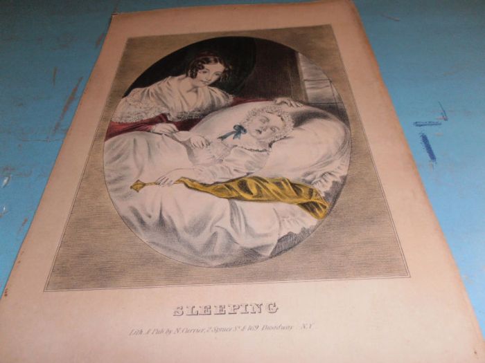 sleeping-ncurrier.jpg (700x525; 41 KBytes)