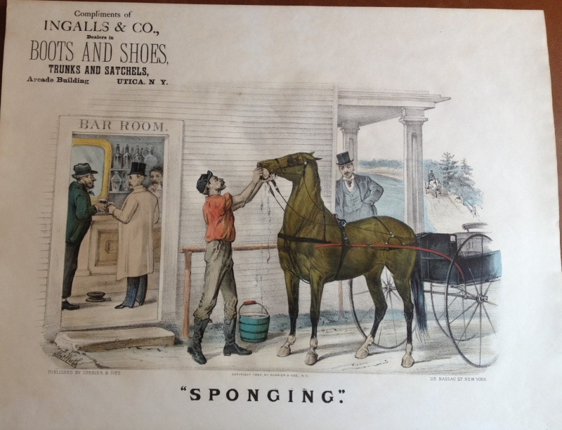 sponging.jpg (800x612; 332 KBytes)
