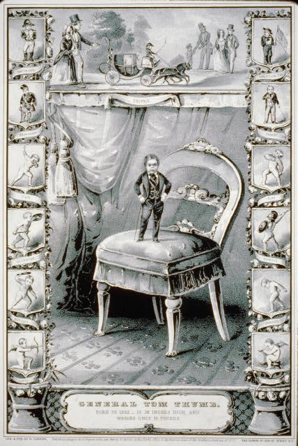 tom-thumb.jpg (428x640; 69 KBytes)