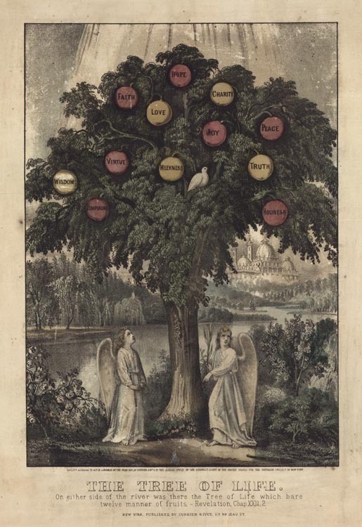 tree-life.jpg (515x750; 113 KBytes)