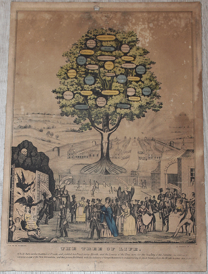 tree-of-life.gif (683x900; 514 KBytes)