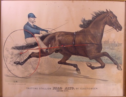 trotting-palo-alto.jpg (510x392; 53 KBytes)