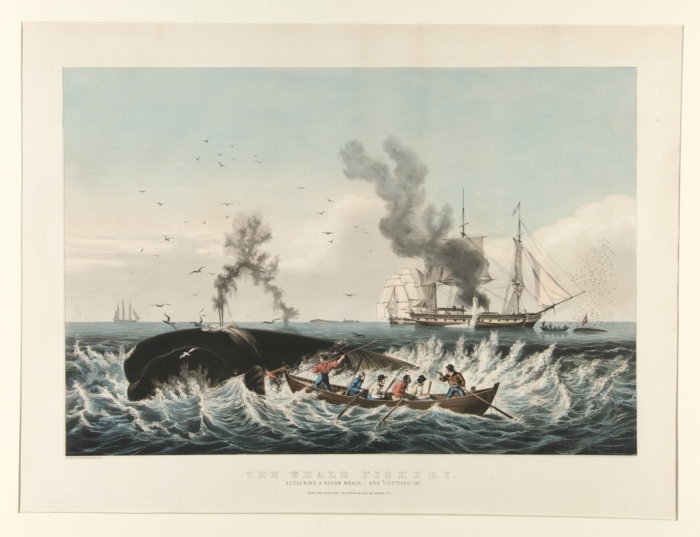 whale-fishery.jpg (700x537; 217 KBytes)