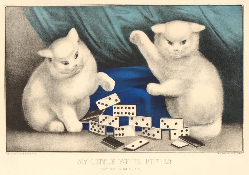 white-kitties3.jpg (800x562; 99 KBytes)